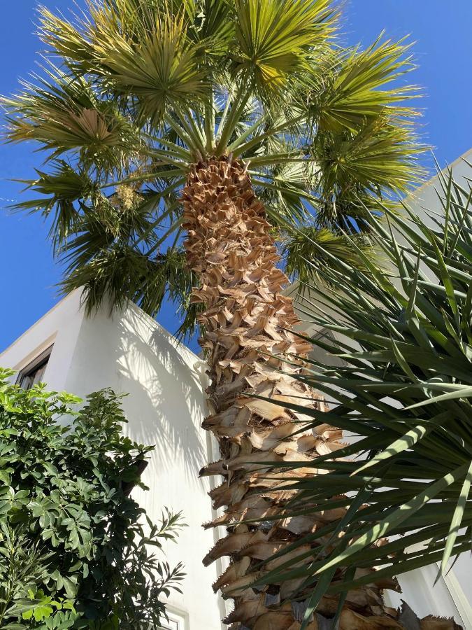 Villa Sezen Kalkan Exteriér fotografie